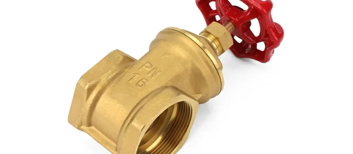Brass Gate Valve (2) Brass Gate Valve (2)
