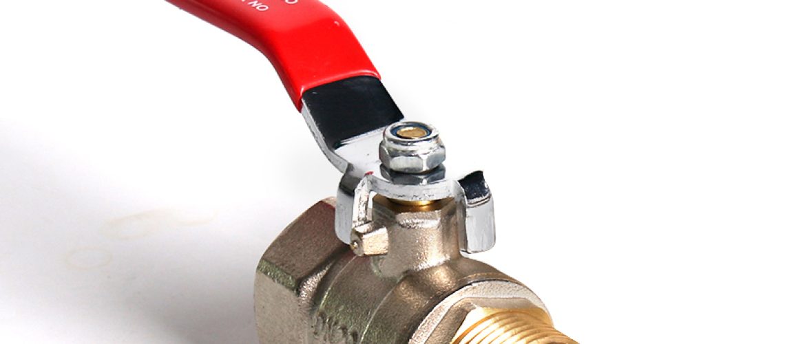 Brass Valve (1005)
